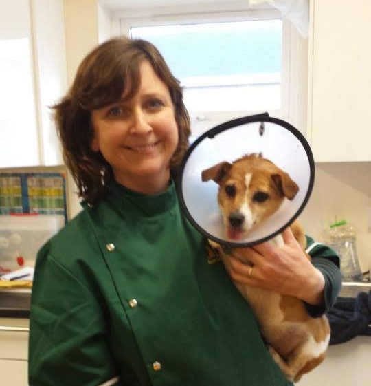 Breeda Fitzpatrick Dineen DVM