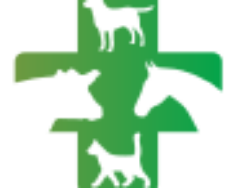 Acorn Veterinary Clinic is joining IVC Group